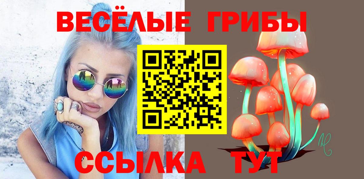 Псилоцибиновые грибы Psilocybe Усть-Илимск