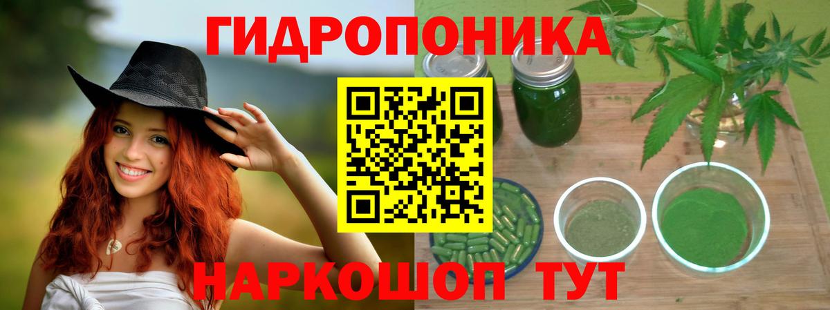 Бошки Шишки сатива  Вход с VPN  Бошки марихуана Ganja  Марихуана марихуана  Усть-Илимск  Шишки марихуана конопля 